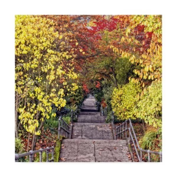 Colby Chester 'Autumn Tunnel' Canvas Art, 24x24, Trademark Fine Art, Mfr#: WAG02966-C2424GG